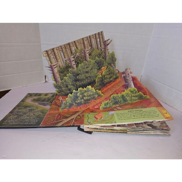 Stephen King, The Girl Who Loved Tom Gordon: A Pop-up; 1st Ed - Picture 4 of 5